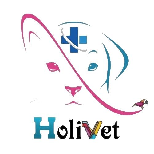 Rehabilitacion Veterinaria Tenerife, mascotas y veterinaria en Candelaria